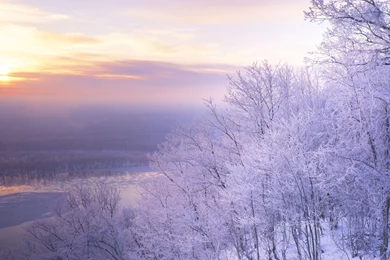 Wallpaper, High, Snow, Trees, Scenery, Quality, Beautiful (