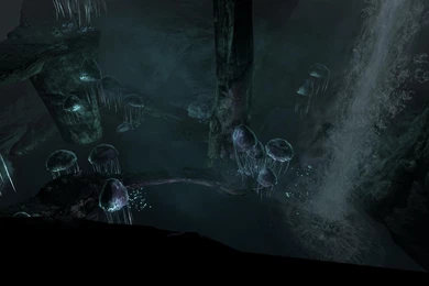 The Elder Scrolls Skyrim Dawnguard Wallpapers