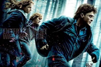 Harry Potter And The Deathly Hallows – Part 1 (Wallpapers ...