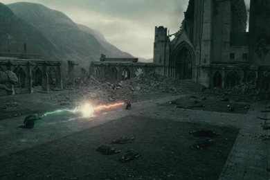 Harry Potter & The Deathly Hallows(PART 2)   Daniel Radcliffe ...