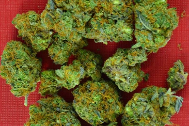 5 Free iPhone Marijuana Backgrounds   Cannabis Destiny