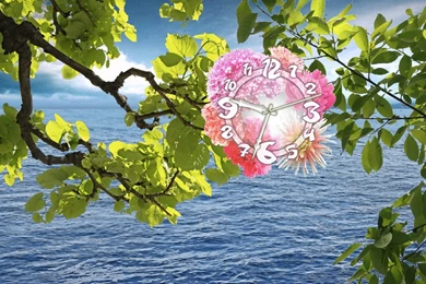 Free Live Wallpapers Download   Wallpapers HD Fine