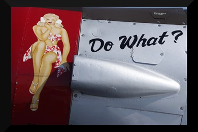 T 6 Texan Do What? Nose Art By Sagginj On DeviantArt