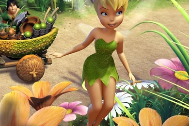 Tinkerbell Ipad Tinkerbell Hd Wallpaper Backgrounds   (