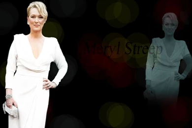 Meryl Streep Oscars 2010 Wallpapers   Meryl Streep Fan Art ...