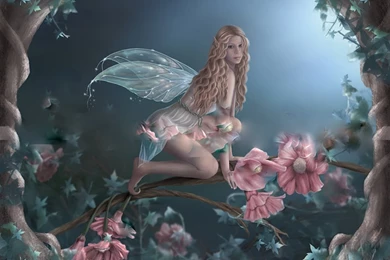 Flower Fairies Pictures   HD Wallpapers Pretty
