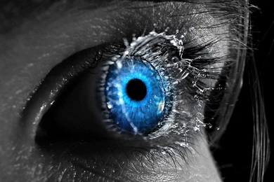 Funny 3D Desktop Wallpapers