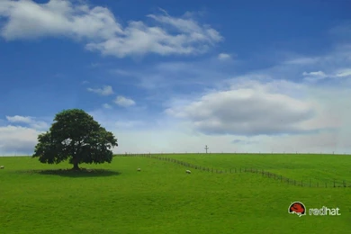 Green Nature Linux RedHat Wallpapers The Perfect Red Hat Desktop ...