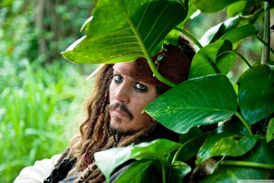 Pirates Of The Caribbean On Stranger Tides, Johnny Depp HD Desktop ...