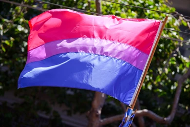 Bisexual Pride Flag   Wikipedia, The Free Encyclopedia