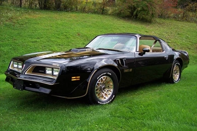 Pontiac Firebird Trans Am 1977 79   (