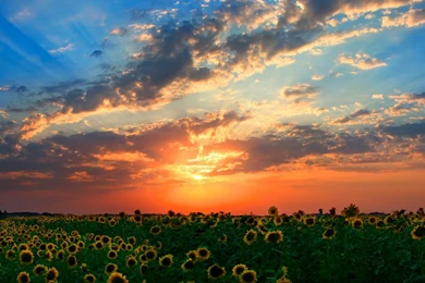 45 Desktop Wallpapers HD Backgrounds Available Here