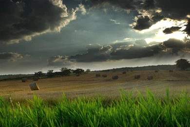 Beautiful Nature Wallpapers HD   CuteWallpaper.org