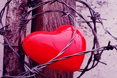 Love Hurts HD Wallpapers