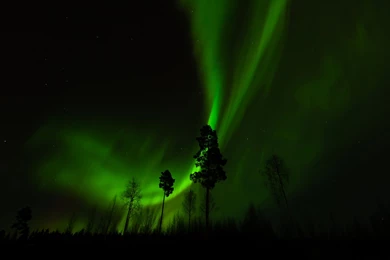 Aurora Borealis Northern Lights Night Green Trees Stars Sky ...