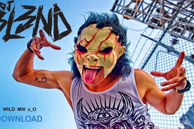 DJ BL3ND   WILD MIX 2014   YouTube