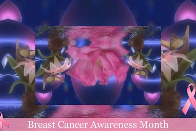 Breast Cancer Awareness Month   (