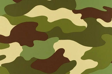 Download Green Camouflage Wallpapers 7413 800x640 Px High ...