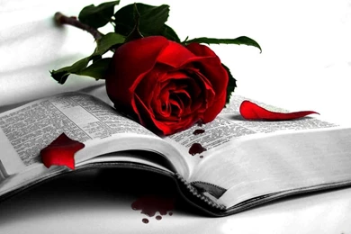 Sad Love Wallpapers Download