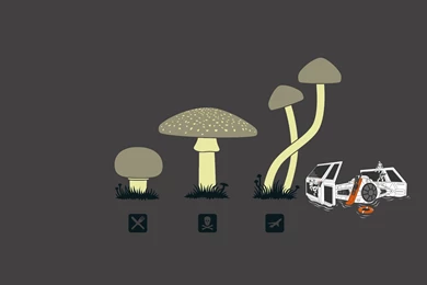 Shroom Wallpapers   Wallpapers Cave
