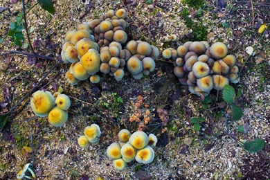 Browsing Photography On DeviantArt