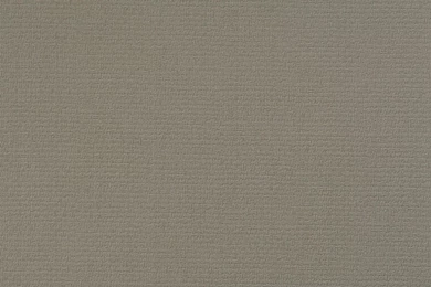 Bast Wallpapers In Mid Brown Design By BD Wall