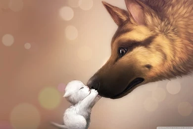 Cute Kiss HD Desktop Wallpapers : Widescreen : High Definition ...