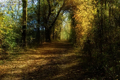 Fairytale Backgrounds Stock By Mocris On DeviantArt