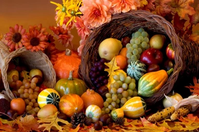 33+ Best HD Thanksgiving Wallpapers