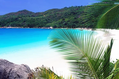 Seychelles Beach Wallpapers
