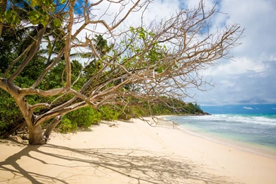 Seychelles Wallpapers