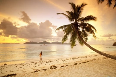 Truly Wonderful Seychelles Wallpapers