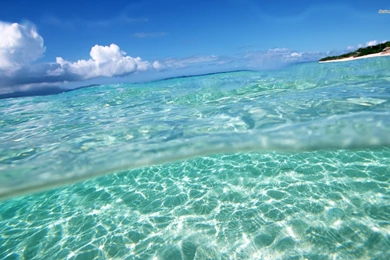 Clear Ocean Water   Wallpaper.