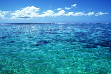 Clear Ocean Water Wallpapers