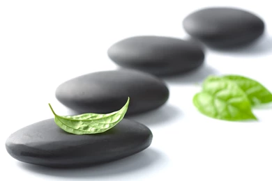 Flat Black Stones And Green Leaves HD Wallpapers