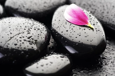Black Stone Fresh Nature Wallpapers HD Free Des
