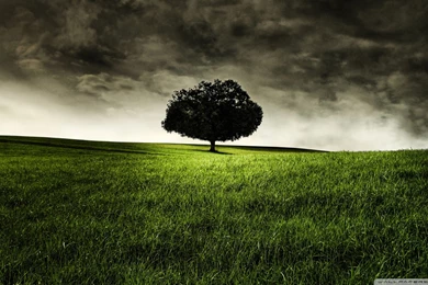 Download Peace Of Mind Wallpapers 1920x1080