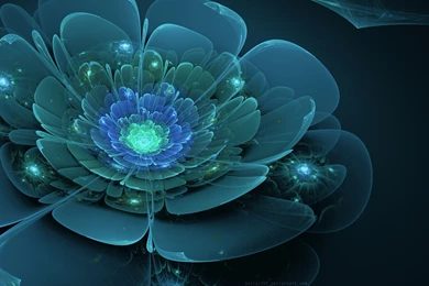 Peace Of Mind By Petra1999 On DeviantArt