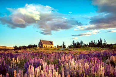 SOOTHING PEACE OF MIND PICTURES