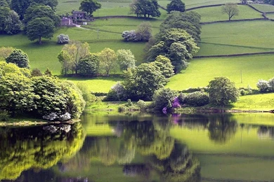 SOOTHING PEACE OF MIND PICTURES