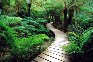 Peaceful Pictures Of Nature   Wallpapers HD Base