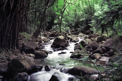 Peaceful Pictures Of Nature   Wallpapers HD Base