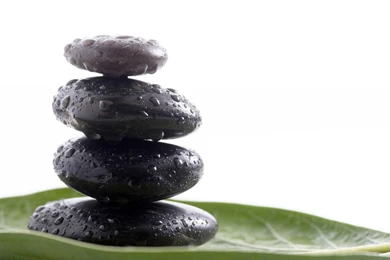 Pile Of Black Stones On Leave Macro Wallpapers