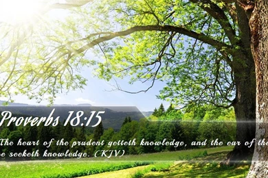 Bible Wallpapers   Free Bible Verse Wallpapers 16