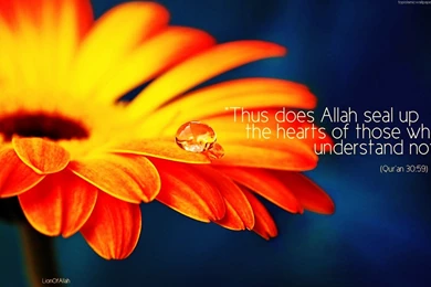Thus Allah Does Seal Up :: Quran Verse Wallpapers