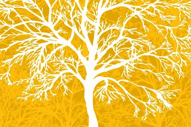 Wallpaper: Decorative Wallpapers