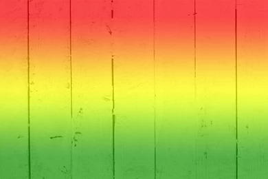 Hire A Reggae Band For Your Wedding Party In London