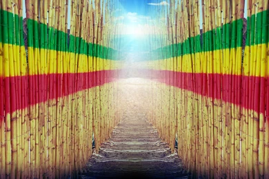 Third World Jahlive Tours