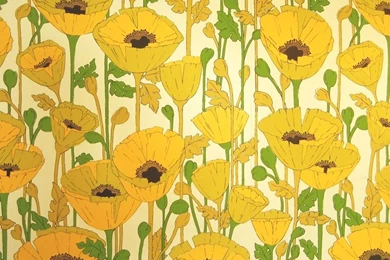 60's Wallpapers   Inspiration For A Fresh Color Scheme. Via Ari ...