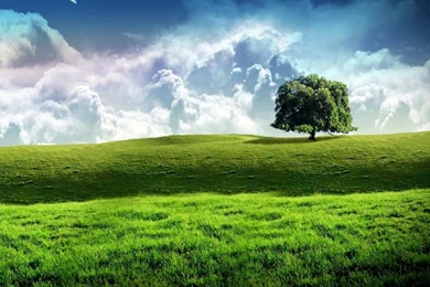 Win Xp Pac2 Android Wallpapers 960x800 Hd Wallpapers For Cell Phones